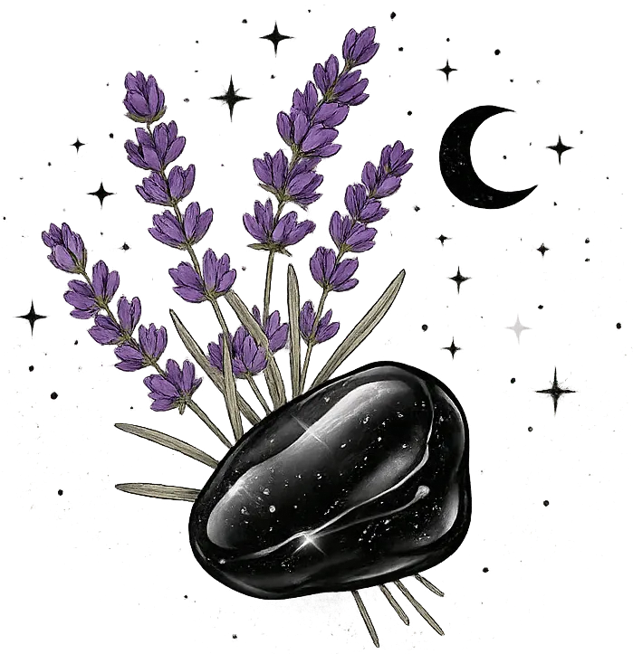 Night Bloom Collection